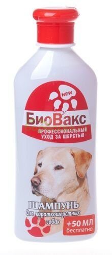 БиоВакс Шампунь для короткошерстных собак