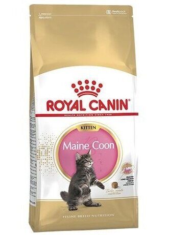 Royal Canin Kitten Maine Coon  Сухой корм для котят породы Мейн Кун и других крупных пород 2 кг